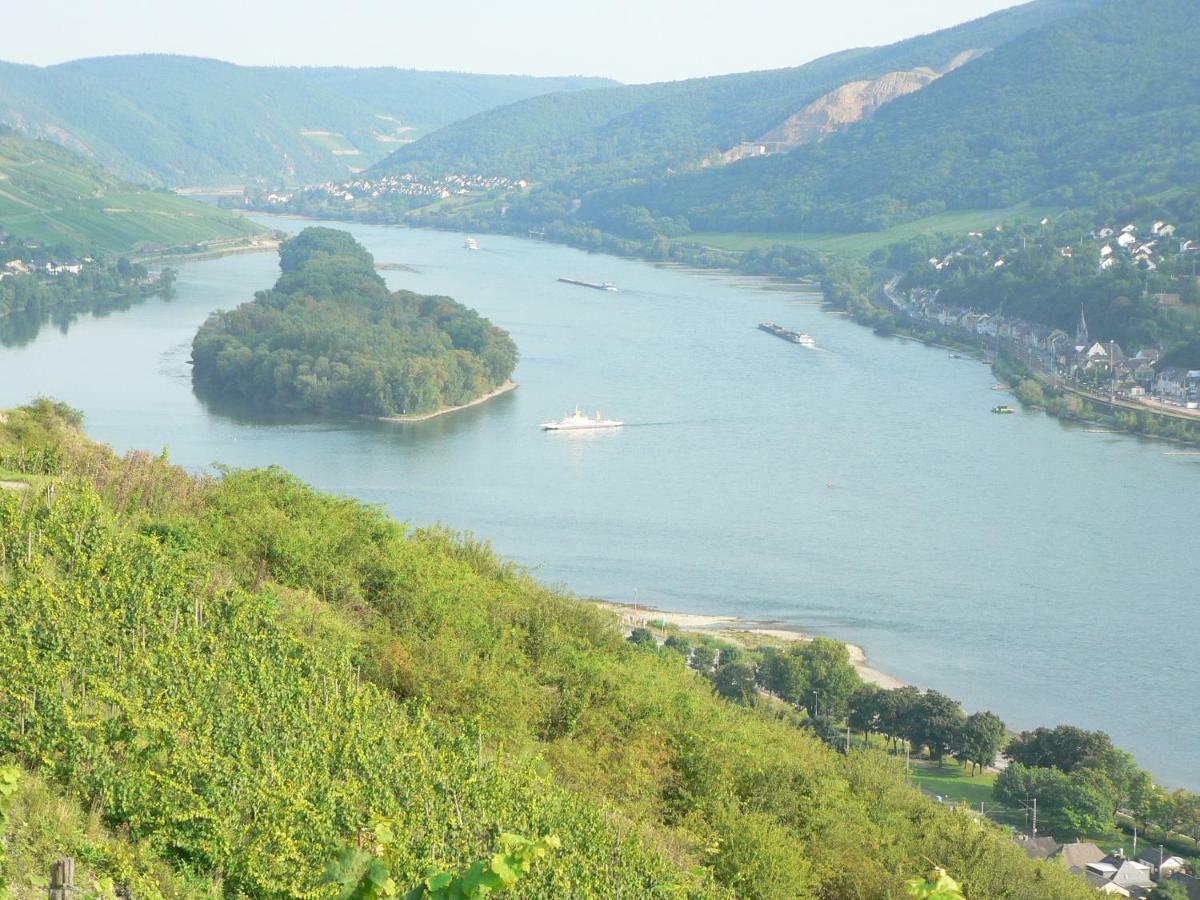 Gaestehaus Cheval Blanc Lorch am Rhein Luaran gambar